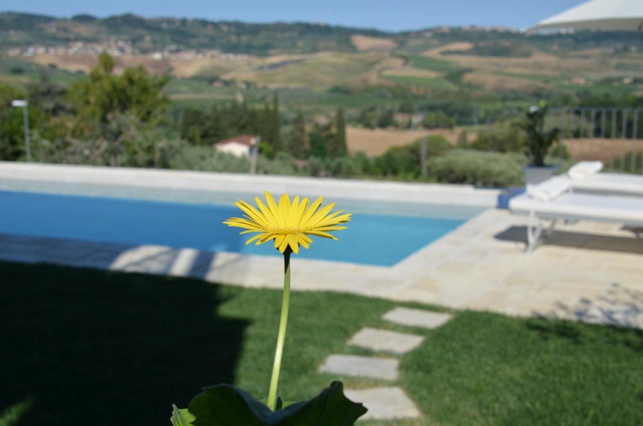 Casa Vacanze Magnolia Terricciola Kültér fotó